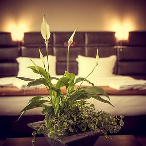 Deluxe Kamer met een King Size Bed